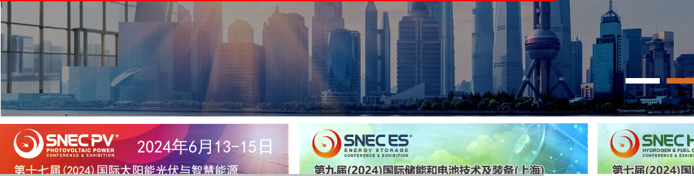 International Photovoltaic Power Generation Conference & Exhibition(SNEC PV)