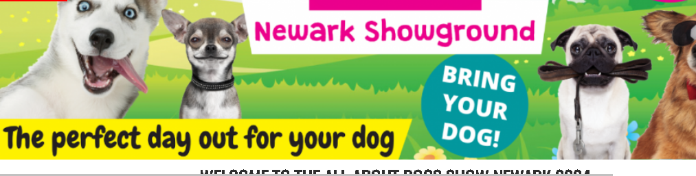 All About Dogs Newark