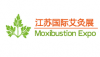 China-Jiangsu International Moxibustion Health Products en Social New Retail Expo