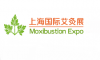 Shenzhenin kansainvälinen terveysnäyttely Moxibustion