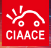 Esposizione internazionale di Guangzhou dei prodotti automobilistici dei ricambi auto e dei servizi del mercato post (CIAACE)