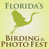 Floridas Vogelbeobachtungs- und Fotofest