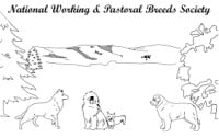 National Working & Pastoral Breeds Show Worcester 2026