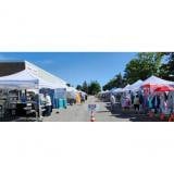 Maine Arts and Craft Fair Wells 2024