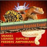 Eksotisk Pet Expo Bloomington