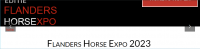 Expo dei cavalli delle Fiandre