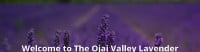 Ojai Valley Lavender Festival