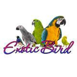 Feria de Aves Exóticas del Sureste