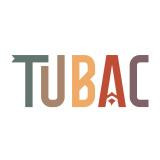 Tubac Festival van de Kunsten
