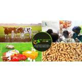 农业 - 乳制品和家禽 东非