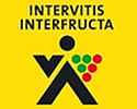 Intervitis Interfructa