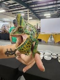 Repticon Atlanta Lawrenceville 2026