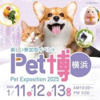 Pet Expo in Yokohama (Pet Hakui) Yokohama 2027