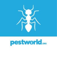 Pestworld Boston 2027