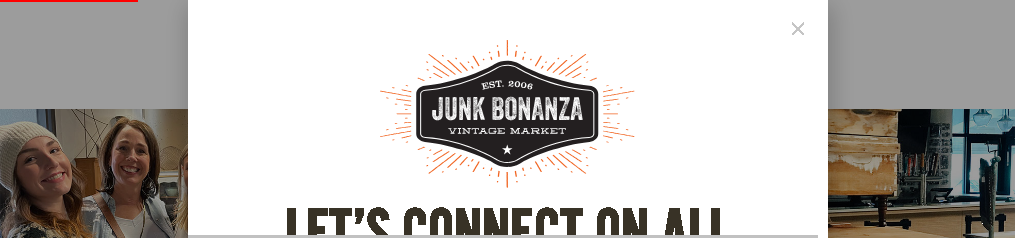Junk Bonanza Minneapolis