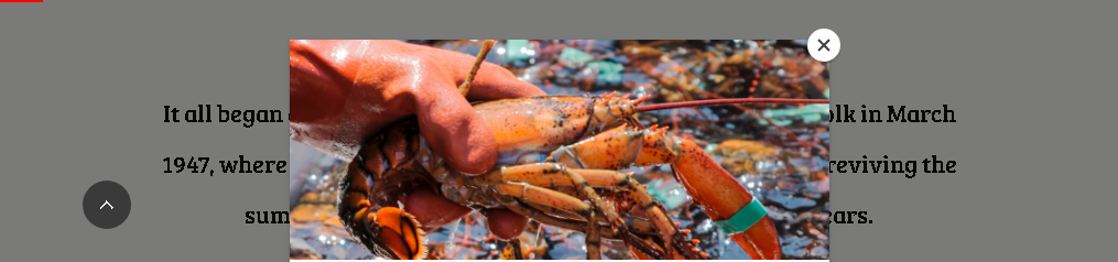 Festival Lobster Maine