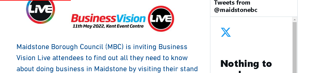 Business Vision live