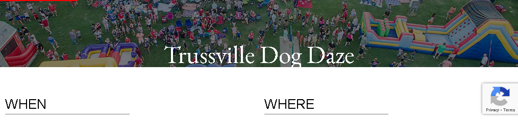 Trussville City Fest Trussville 2024