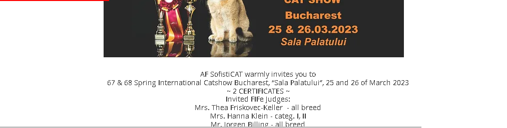Весенняя международная выставка кошек Sofisticat