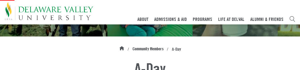A-Day (Activities Day)