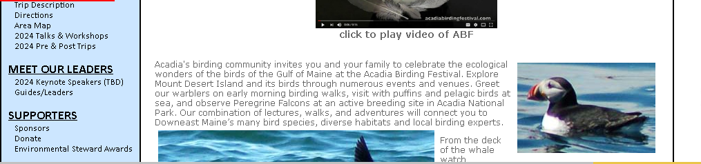 Acadia Birding Festival