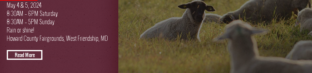 Festivali vjetor i deleve dhe leshit në Maryland