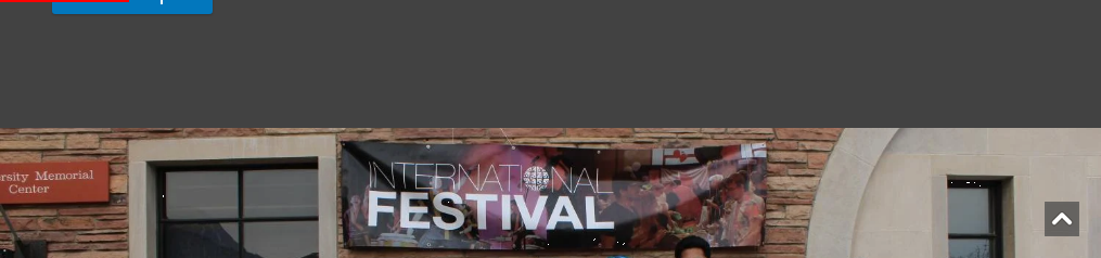 Mezinárodní festival