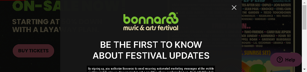 Bonnaroo Music And Arts Festival Manchester 2024