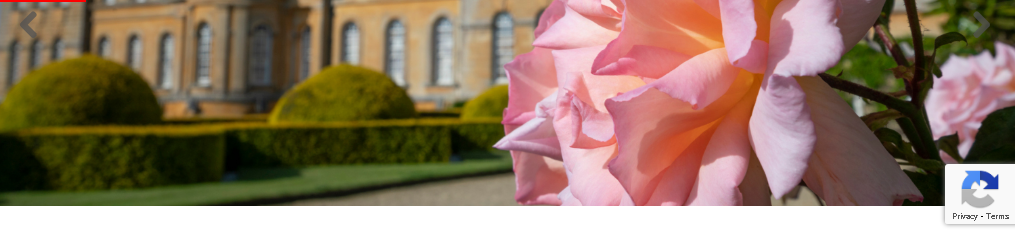 The Blenheim Palace Flower Show