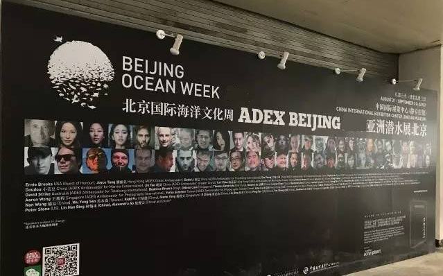 Adex बीजिंग